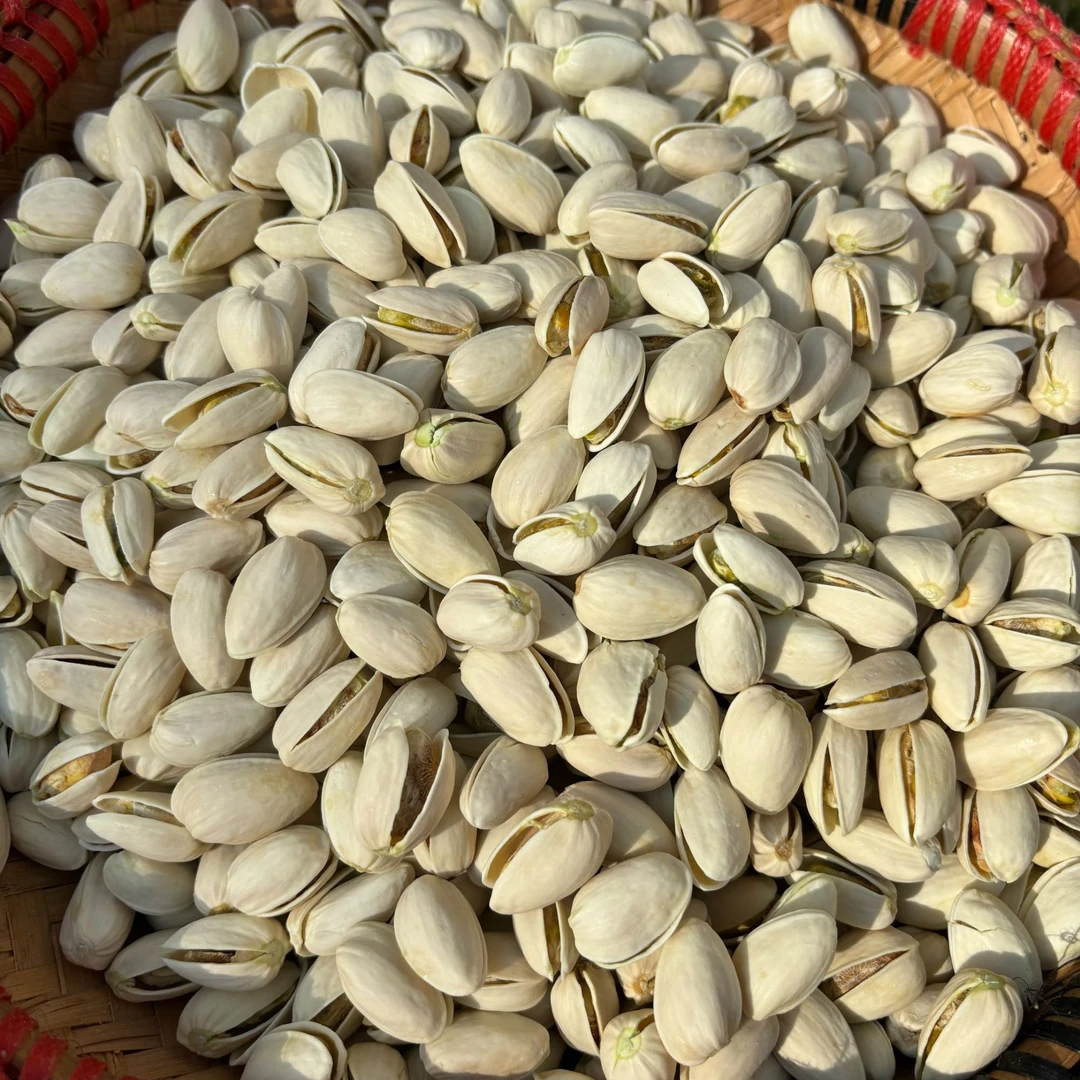 【涛涛3】开心果 年货农家开心果