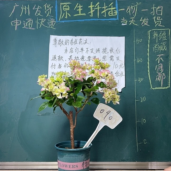 完全开放  怡锦  090