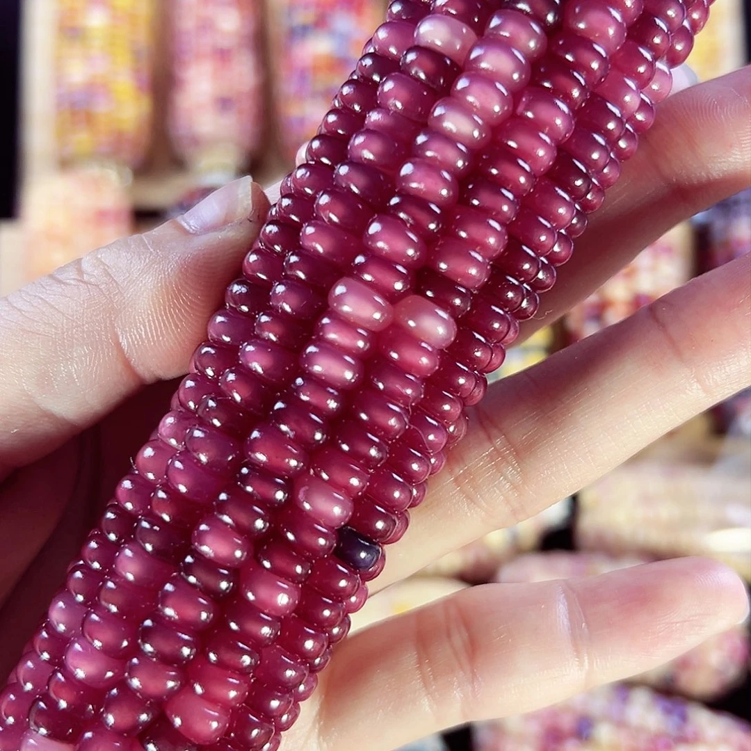 树脂雨****啦亲爱的拍600