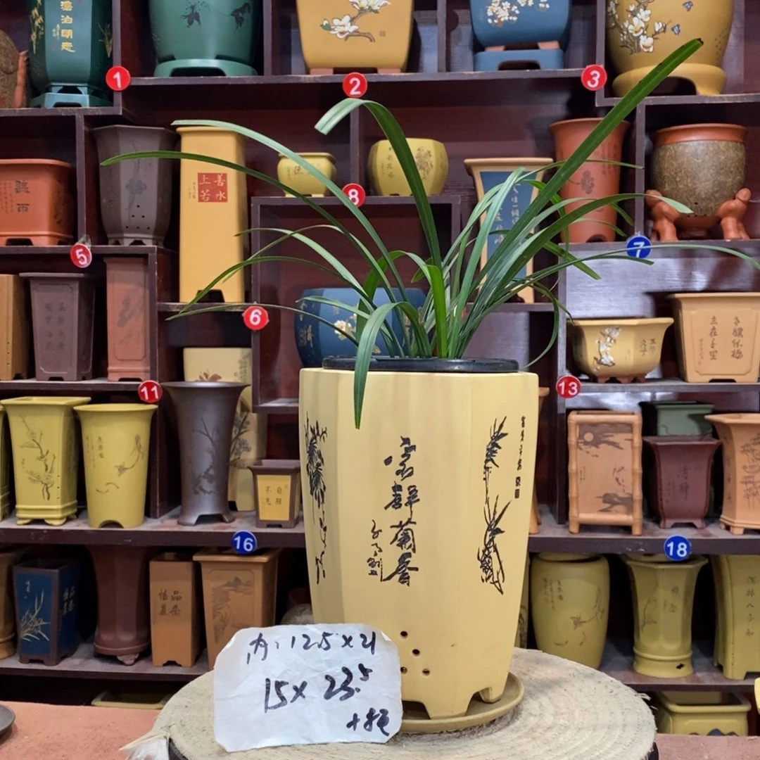 紫砂花盆紫砂花盆