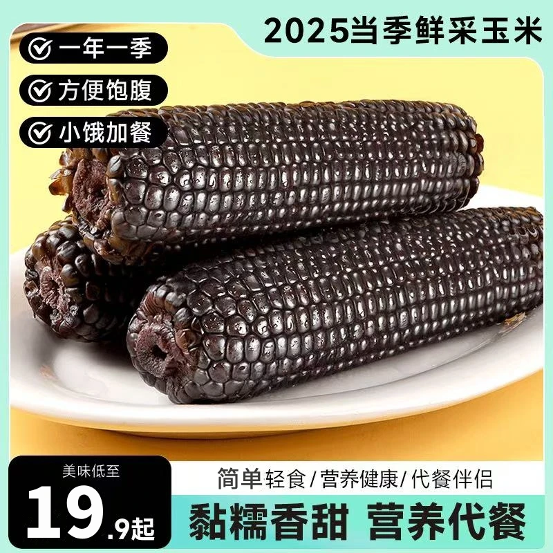 （试吃三根）2025年东北鲜采一级黑珍珠玉米拍10加送3根（整箱7-7.5）