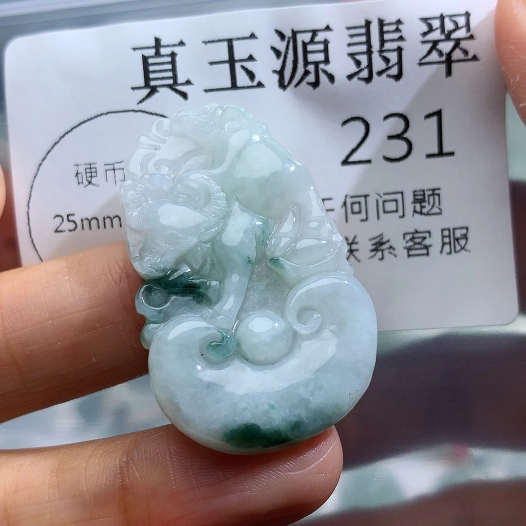 翡翠未镶嵌颈饰231