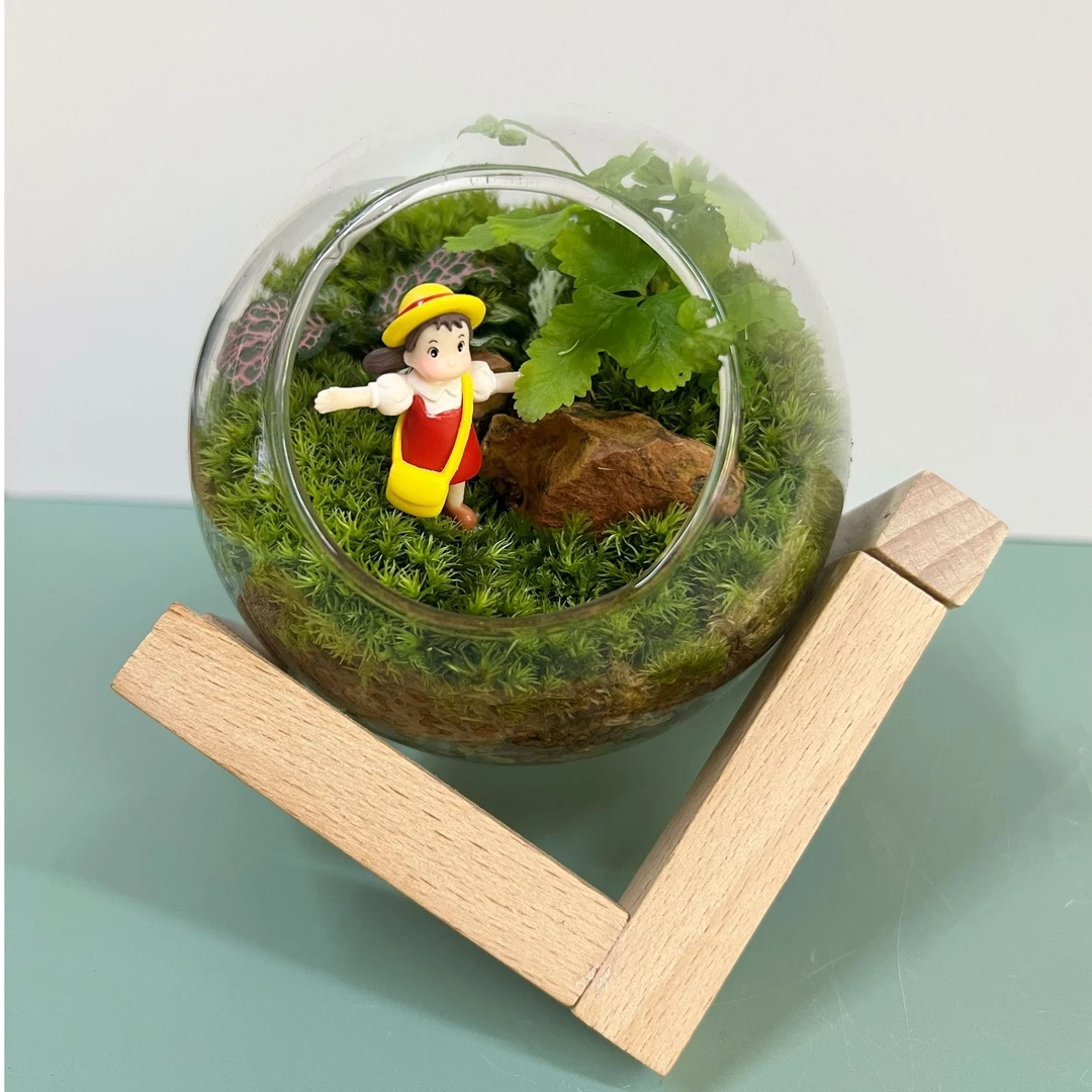 纯手工懒人绿植苔藓生态微景观创意趣味桌面装饰 节日生日礼品礼物