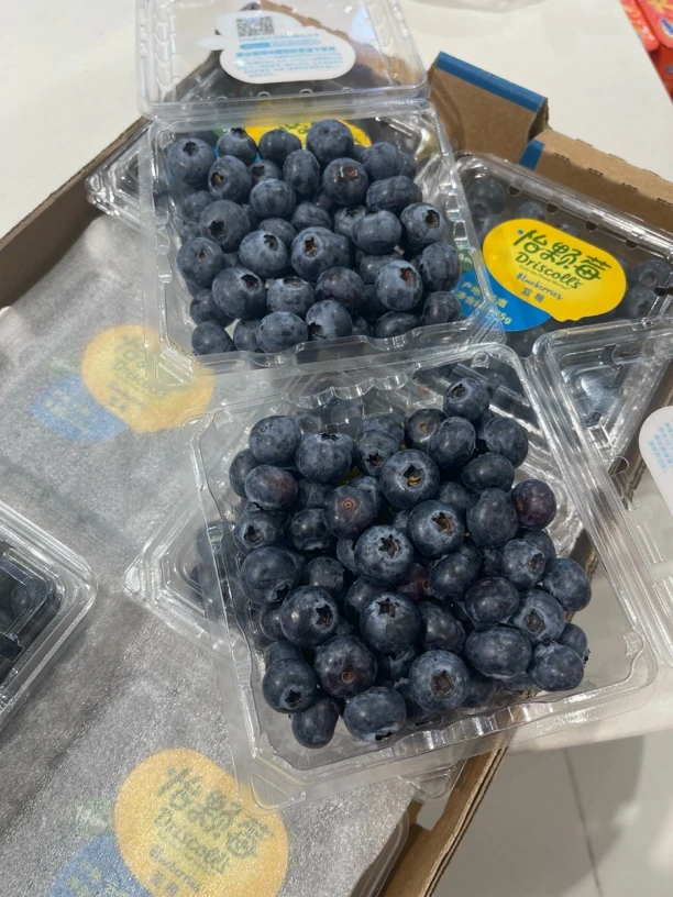 云南蓝莓中果14➕脆甜6盒装