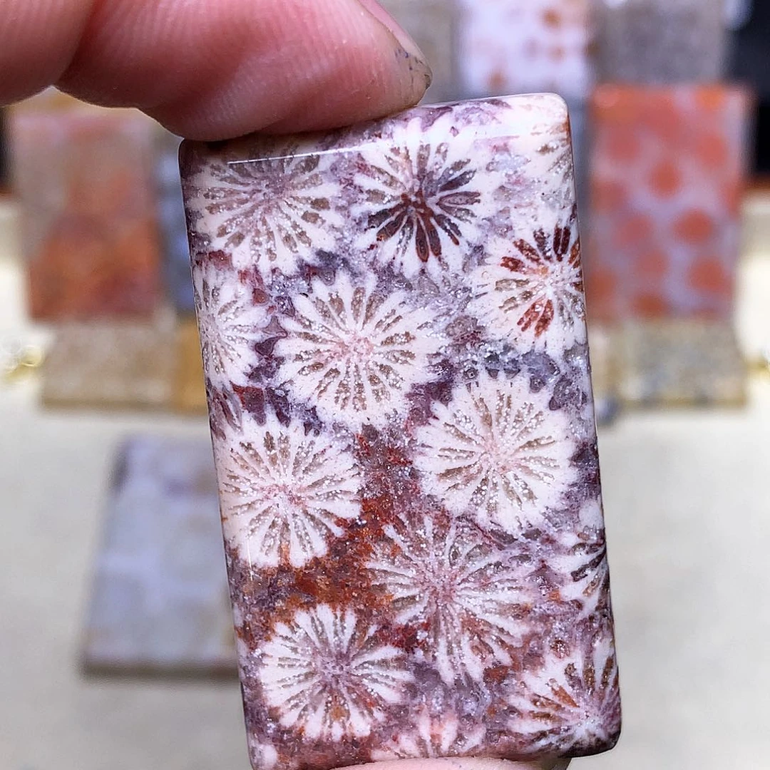 硅化玉珠宝奇石合金丽*