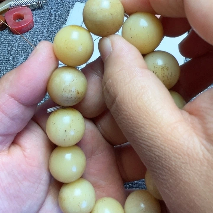 大果紫檀（缅甸花梨）