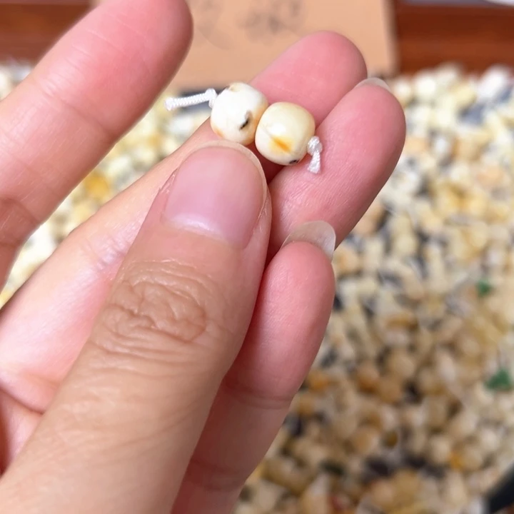 蜜蜡未镶嵌裸石8mm一对
