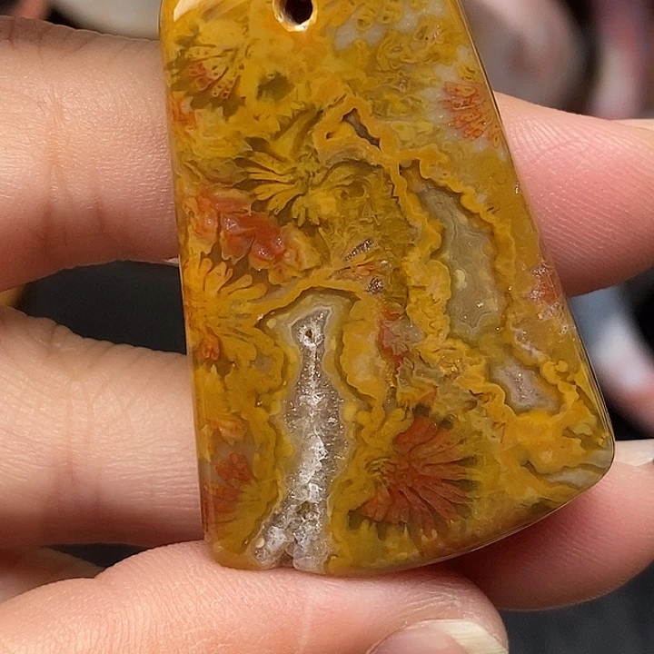 硅化玉未镶嵌颈饰