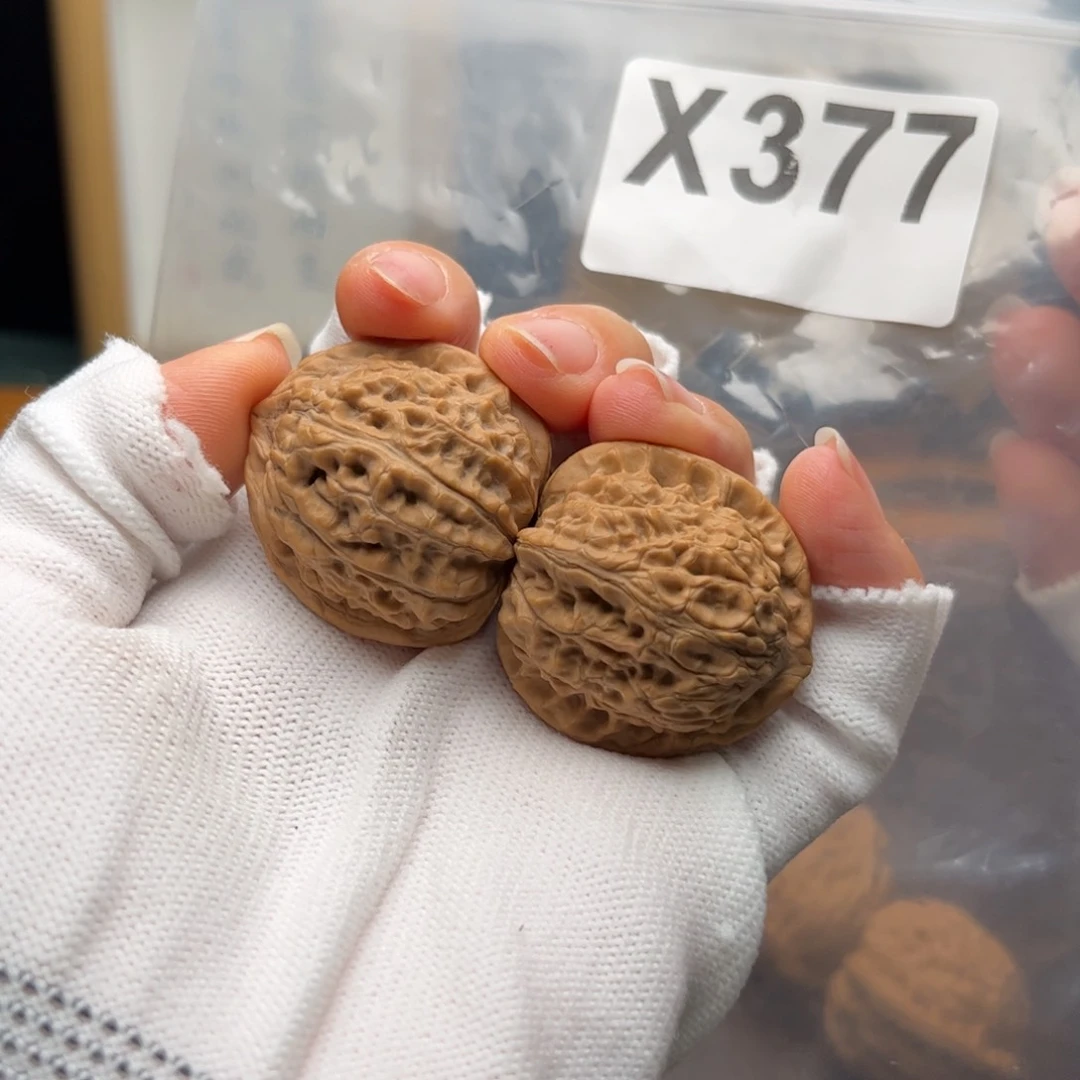 桃核把件33左右凤胆小377