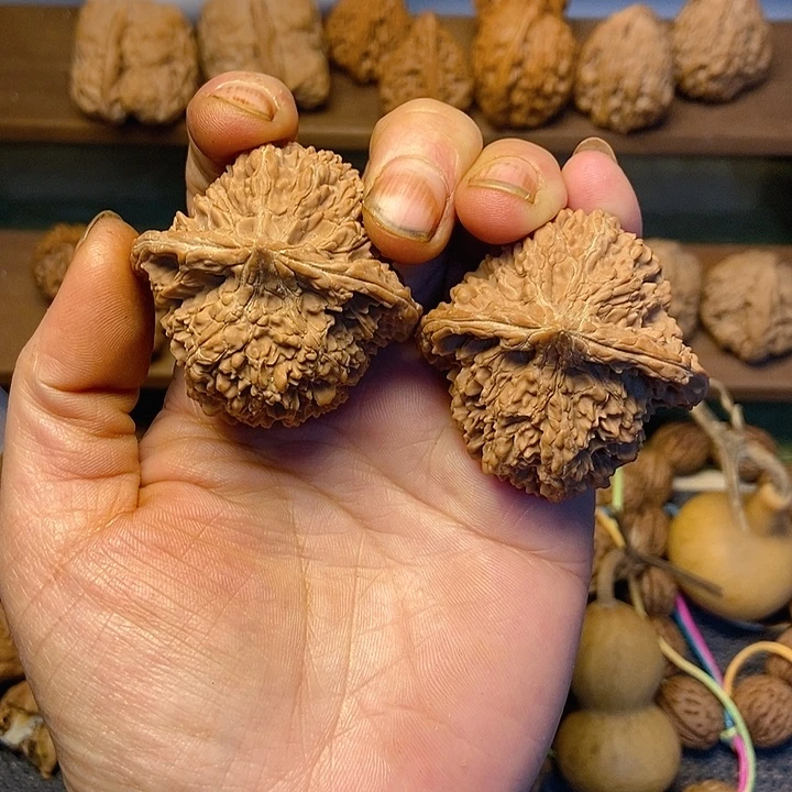 满天星全品46.45.38