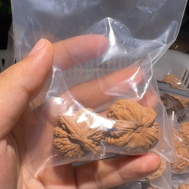 小***慌吊坠文玩核桃白狮子