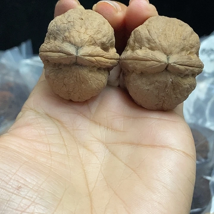 文玩核桃把件云南铁核桃基地83