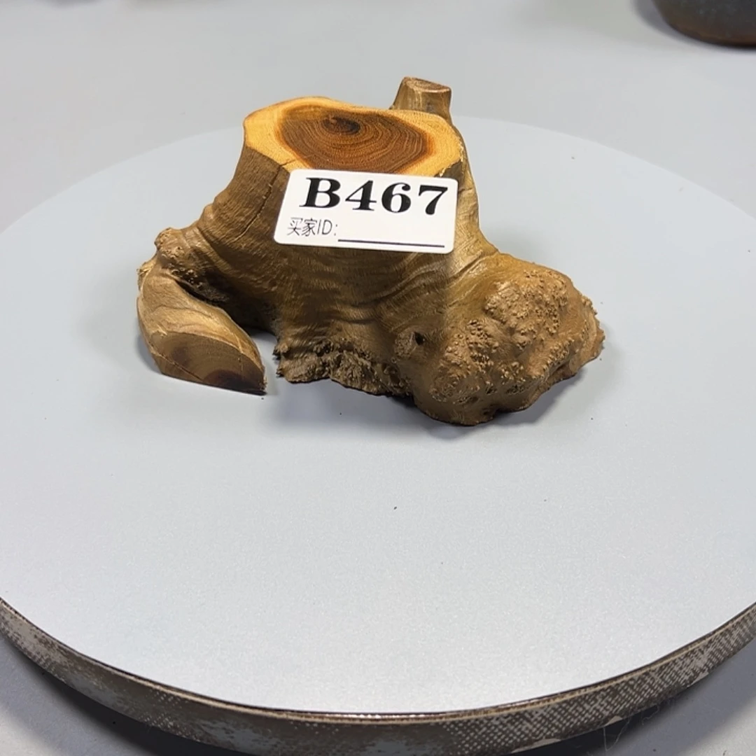 大果紫檀（缅甸花梨）五*子