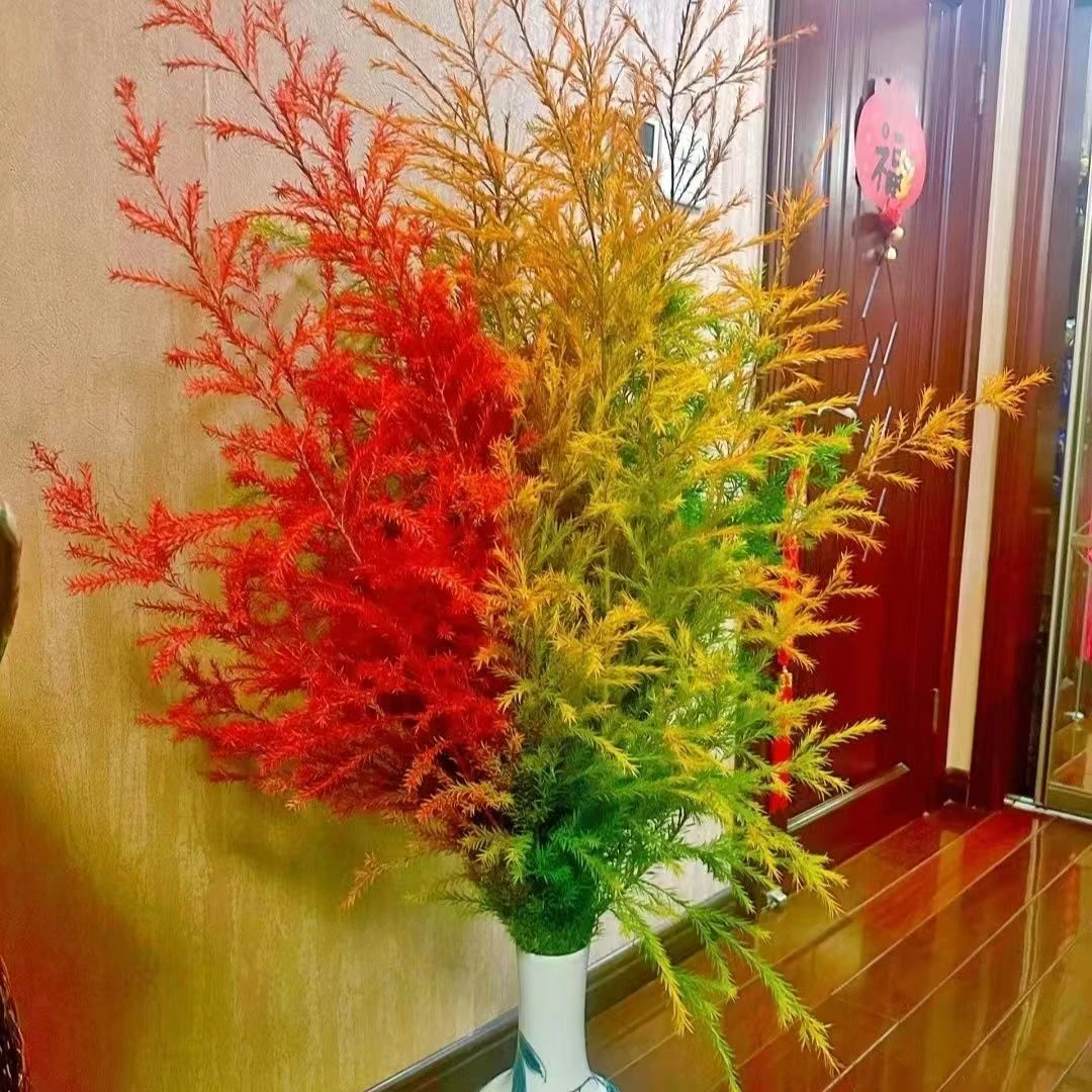 千层黄金香柳鲜切花云南基地鲜花直发室内水培办公室客厅插花干花