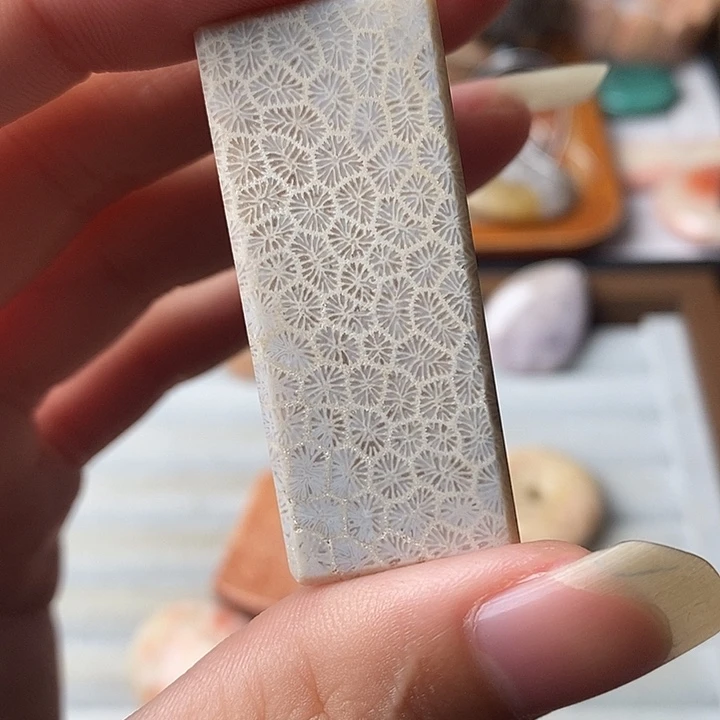 铃***光硅化玉未镶嵌颈饰