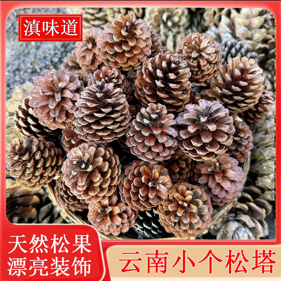 云南天然松果松塔批发圣诞节装饰幼儿园手工diy材料松球香料盆景
