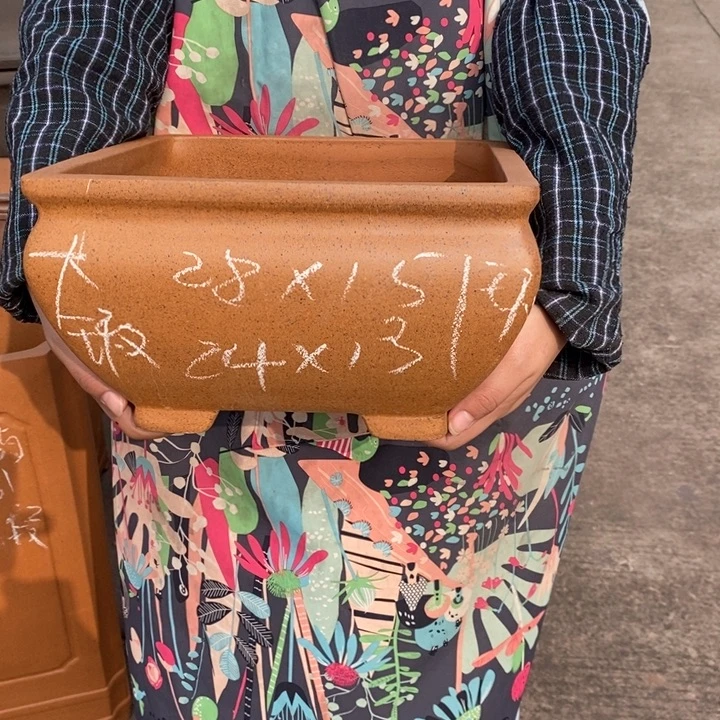 小***水紫砂花盆只顾看手机和睡觉