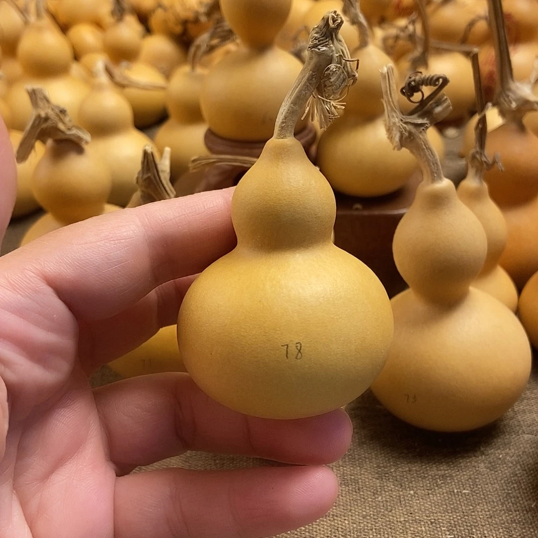 文玩葫芦 完美主义者 慎拍78