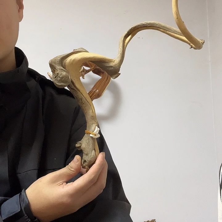 迦****柏木我是李静如水一般见识