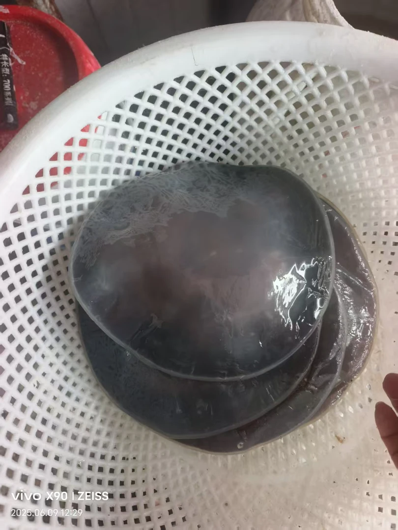 优质海蜇皮小红水皮美味可口海蜇食材