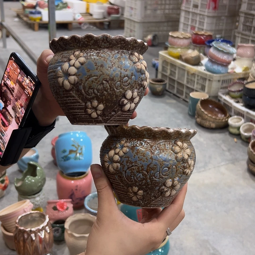 无孔！水培！福利款！数量有限！