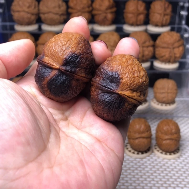 文玩核桃把件28熊猫彩41