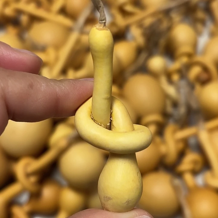 彪***子一把葫芦便宜漏了