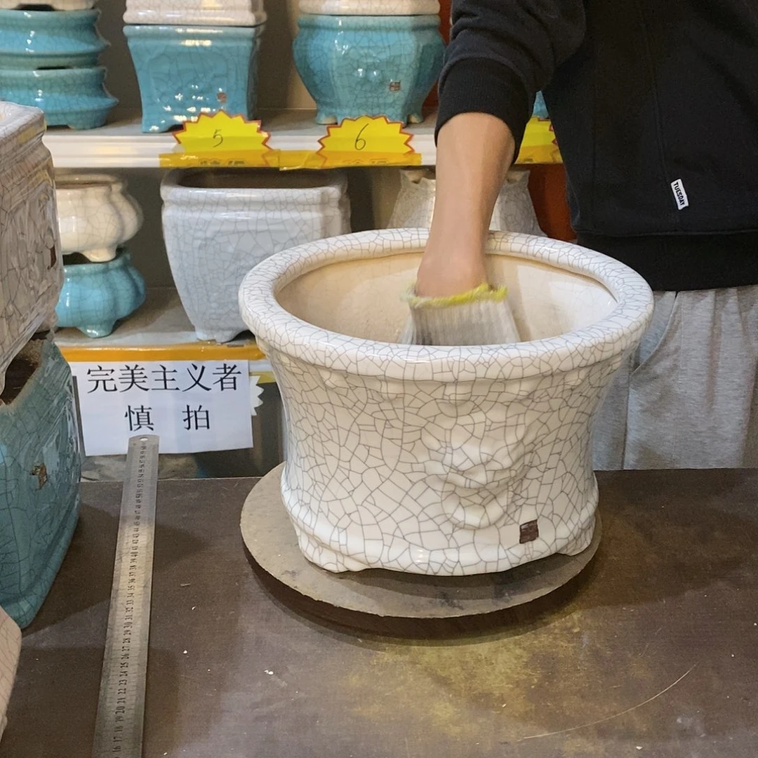 青****观花盆花盆里的花开