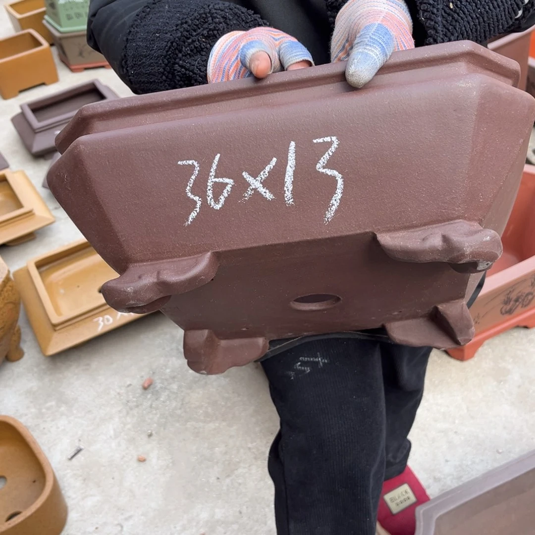 紫砂花盆盆景艺术