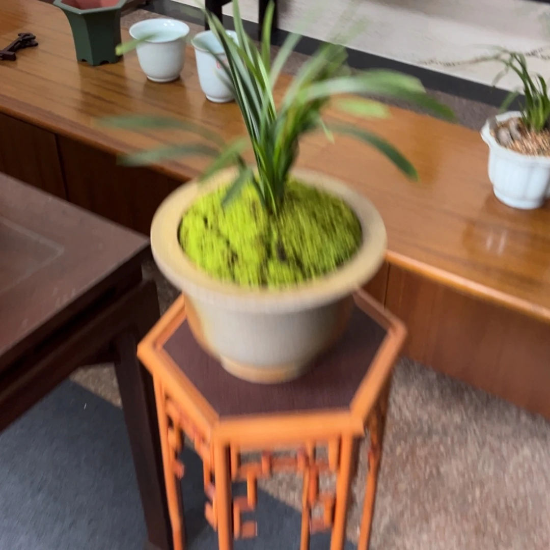 紫砂追*高温正宗手工花盆