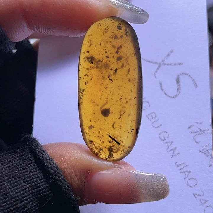 琥珀裸石未镶嵌从****伊？