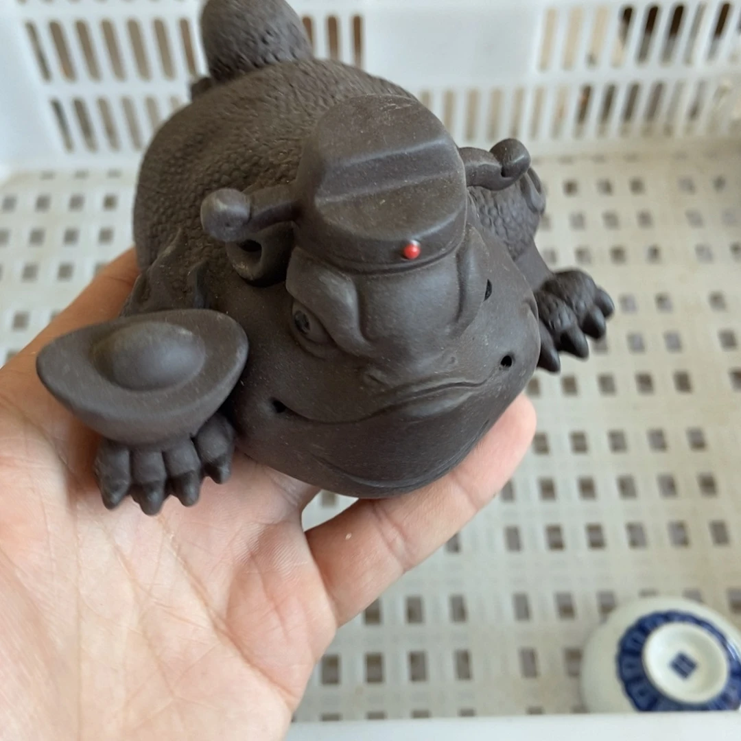 杯直播链接直播链接