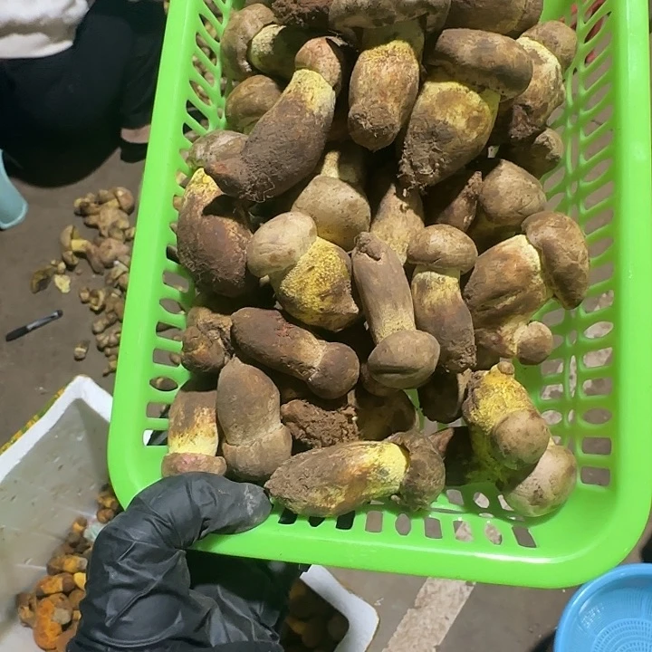 宝宝白葱中国大陆900g