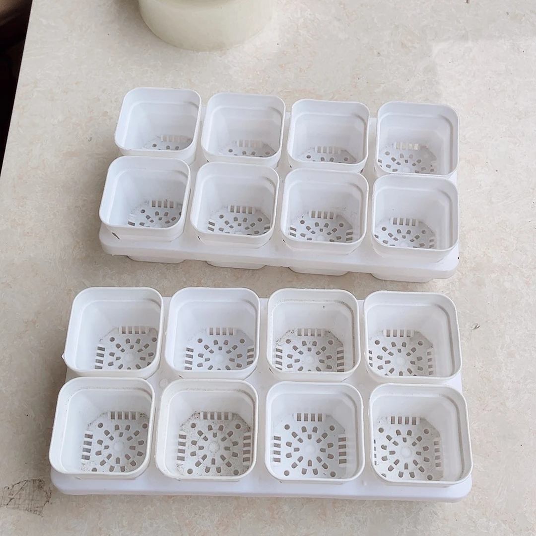 塑料福利款5.3白方盆16个带2拖架