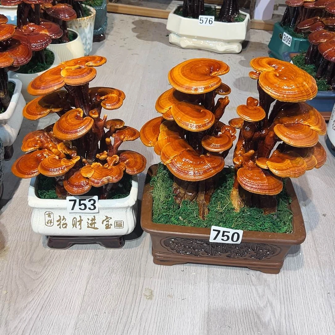 航***舰无花朵88888888888