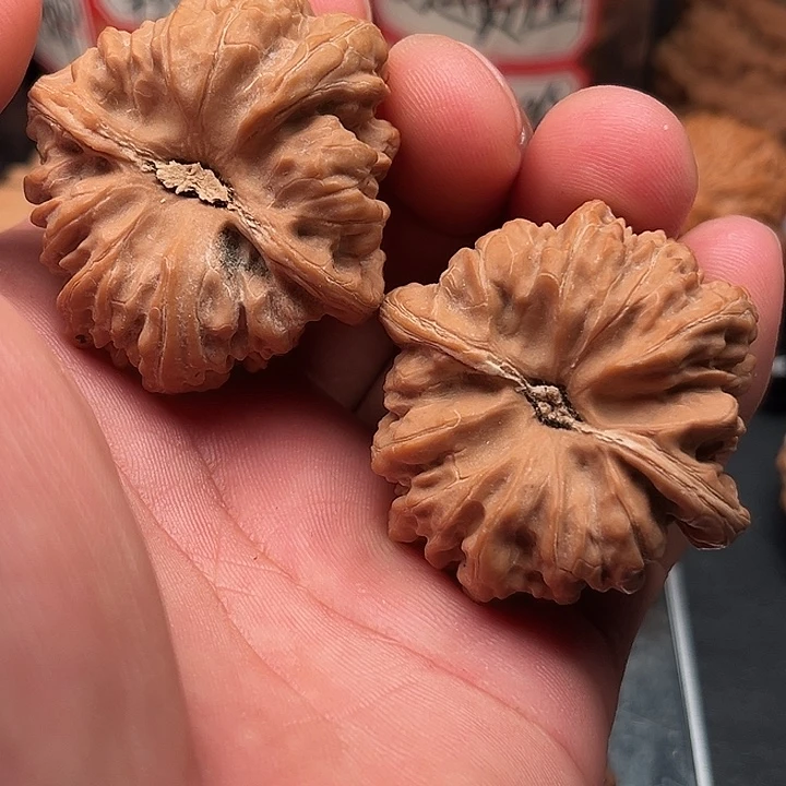 文玩核桃把件凹底42