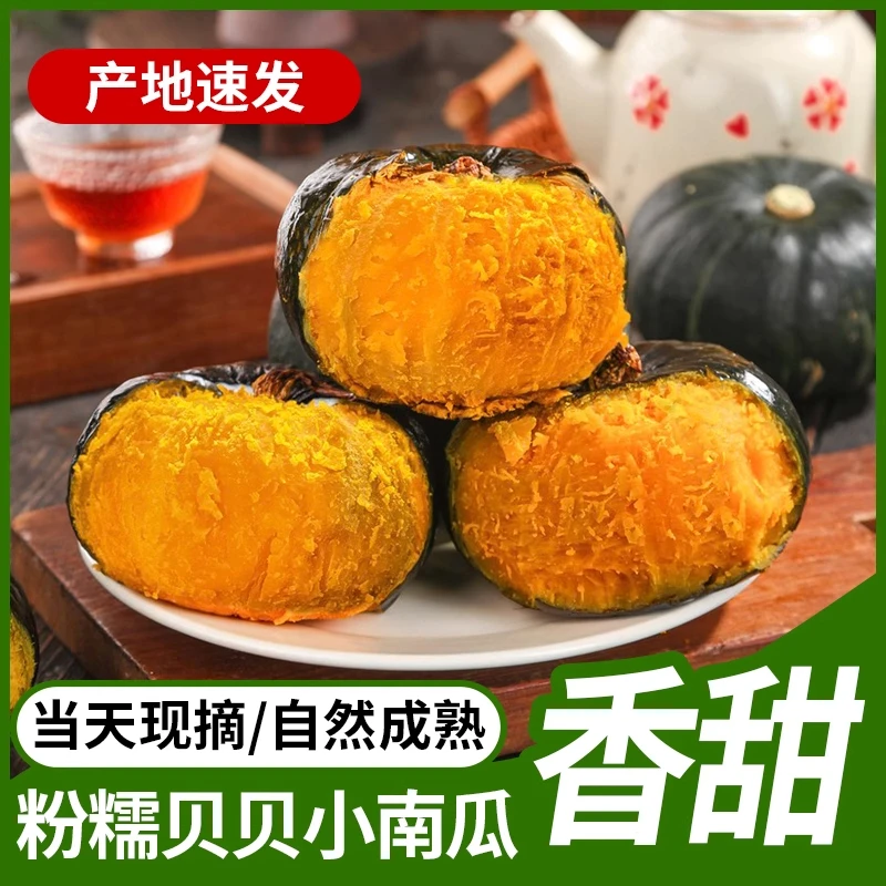 山东贝贝南瓜装粗粮宝宝辅食粉面香甜板栗味小南瓜健身老师代餐