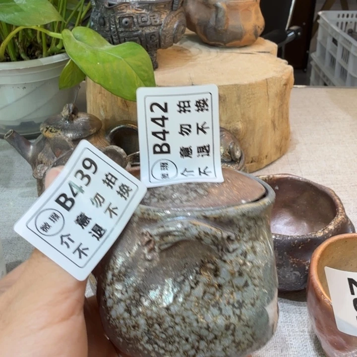 D***g盘陶柴烧福利新品多多