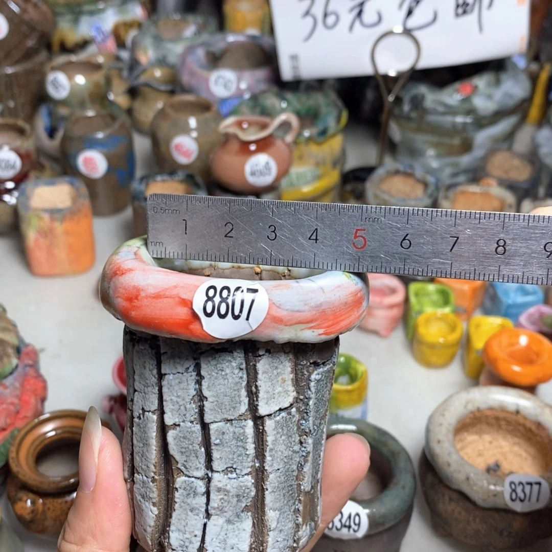 拍3送一个小礼物