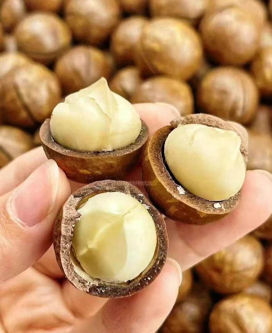 新年必备夏威夷果500g