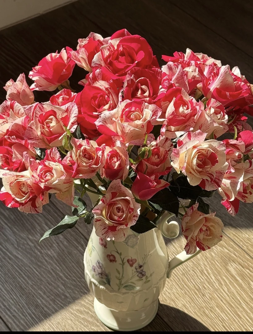 【九里花田】花物语多头玫瑰草莓牛奶-基地直发-一单申通两单发顺丰