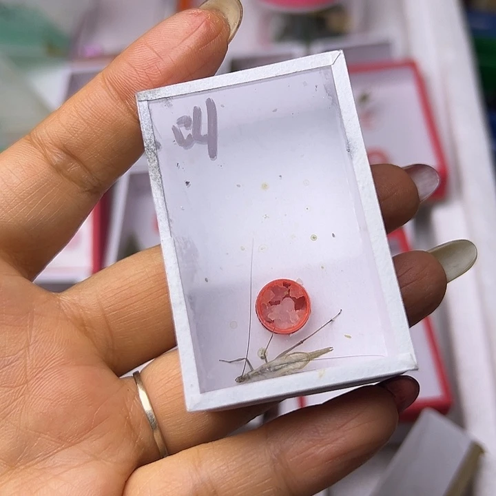 无***表哈哈哈哈哈哈哈哈哈哈哈哈哈哈