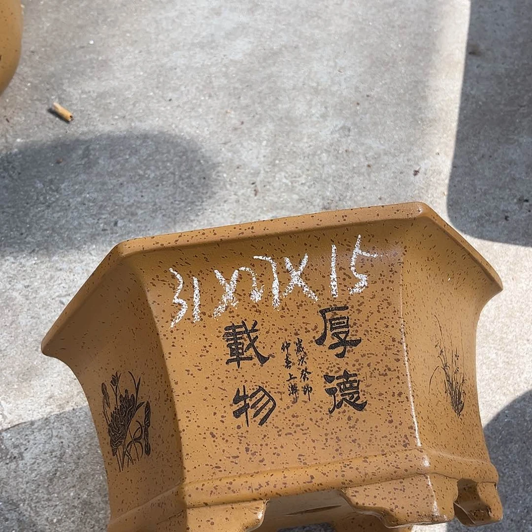 紫砂花盆盆景艺术