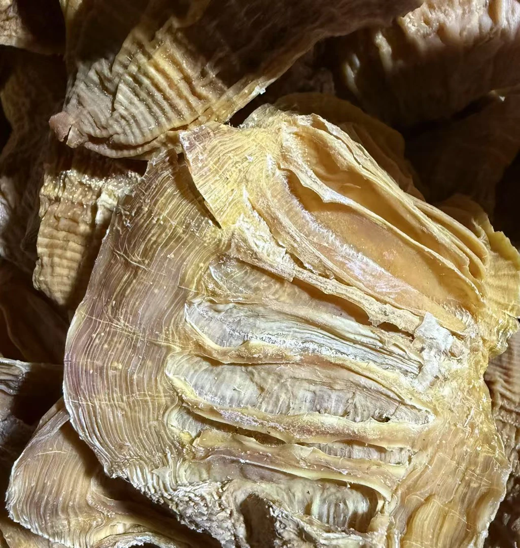 新化特产笋宝玉兰片笋干