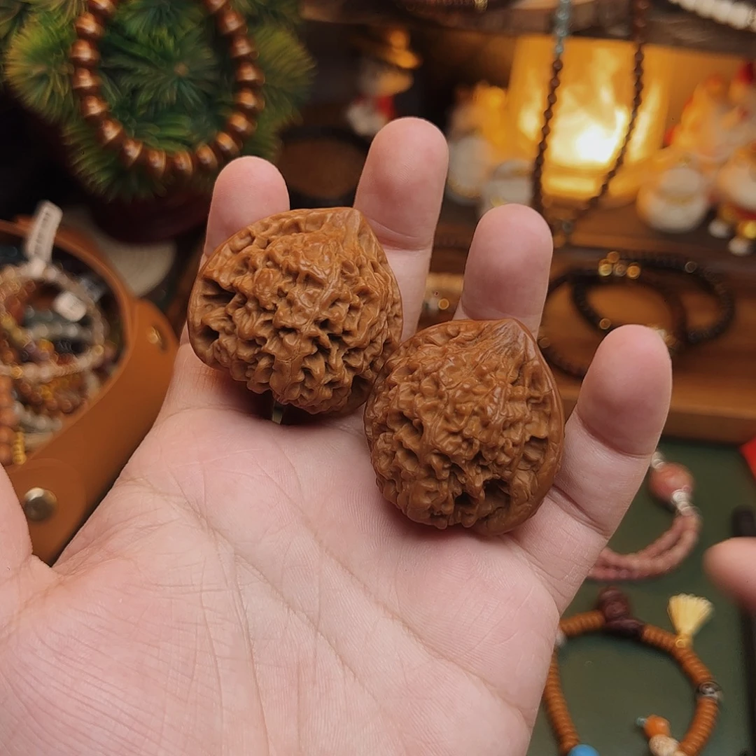 手串菩提根/象牙果