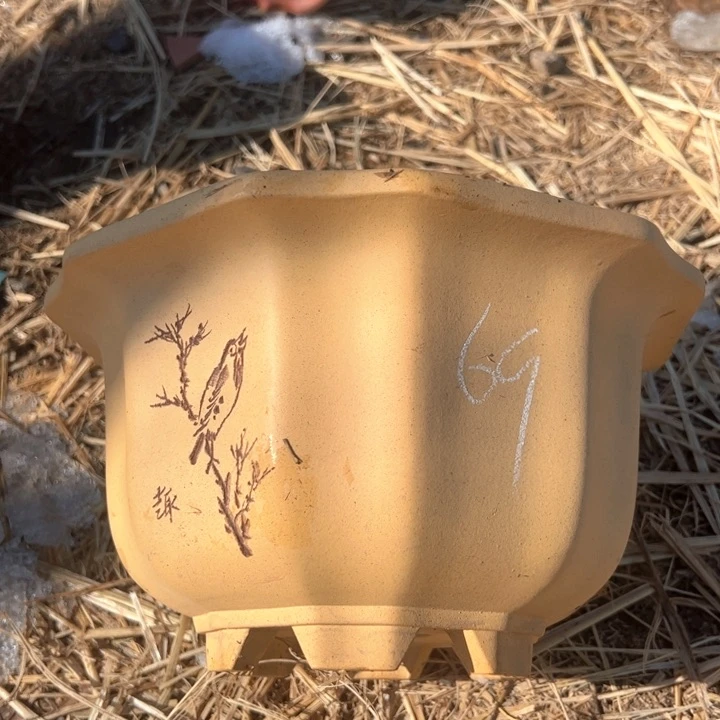 红陶紫砂碗盆口27