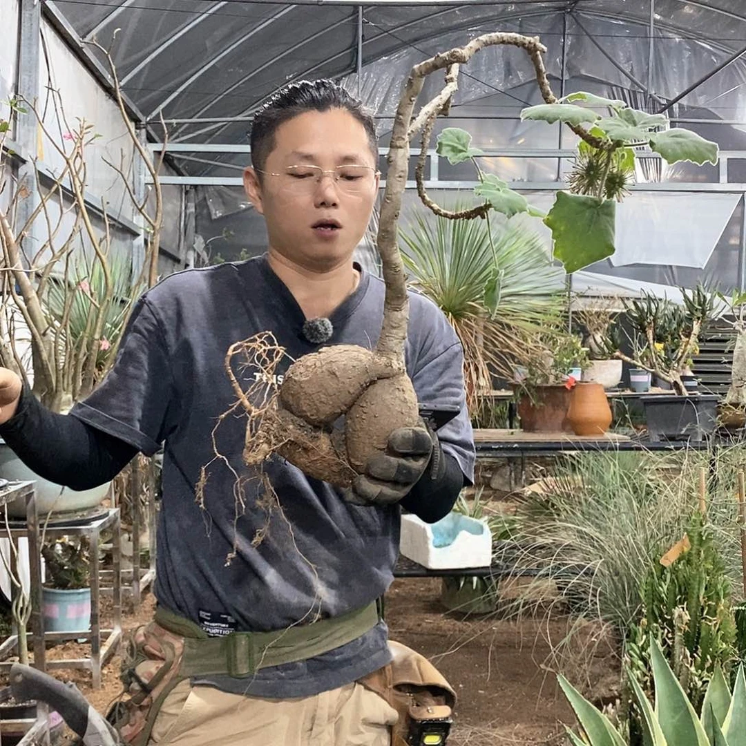 10号安卡丽娜一物一拍