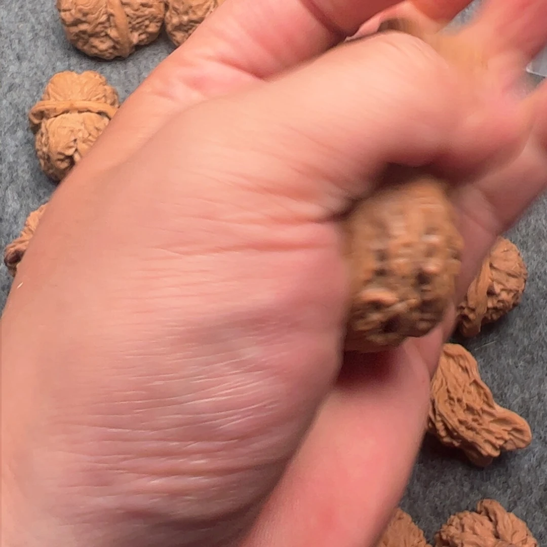 火****花沙棘花元宝狮子头
