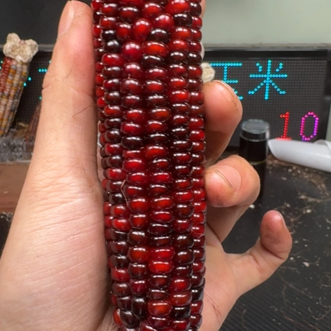 柏香籽/百香籽吊坠好*子