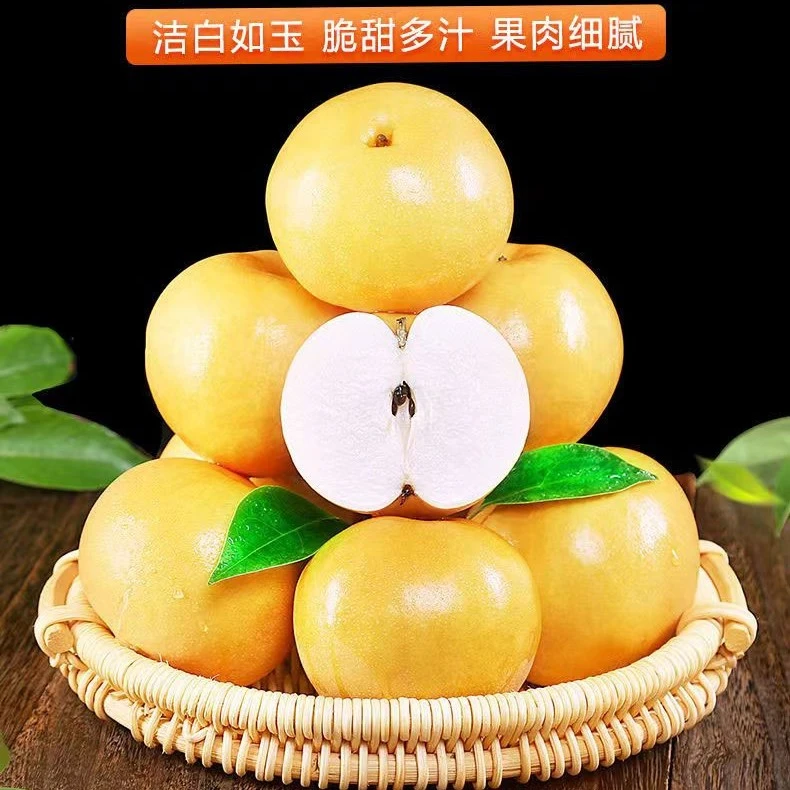 【顺丰快递】山东秋月梨皮薄多汁产地直发 细腻化渣爽口新鲜采摘